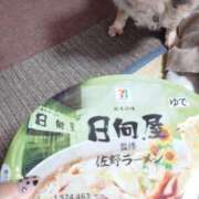 ヒメ日記 2025/01/31 11:54 投稿 小鳥遊 凛（たかなし りん） 湯房すずめ