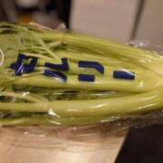 ヒメ日記 2025/02/06 16:04 投稿 小鳥遊 凛（たかなし りん） 湯房すずめ