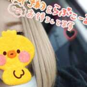 ヒメ日記 2025/02/19 11:44 投稿 小鳥遊 凛（たかなし りん） 湯房すずめ