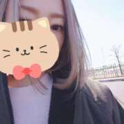 ヒメ日記 2025/02/20 12:04 投稿 小鳥遊 凛（たかなし りん） 湯房すずめ