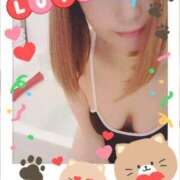 ヒメ日記 2025/03/06 10:30 投稿 小鳥遊 凛（たかなし りん） 湯房すずめ