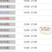 ヒメ日記 2025/03/18 14:53 投稿 小鳥遊 凛（たかなし りん） 湯房すずめ