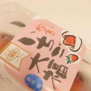 ヒメ日記 2025/03/20 19:32 投稿 小鳥遊 凛（たかなし りん） 湯房すずめ