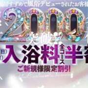 ヒメ日記 2025/03/23 01:09 投稿 小鳥遊 凛（たかなし りん） 湯房すずめ