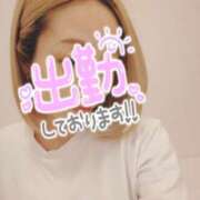 ヒメ日記 2025/03/24 12:08 投稿 小鳥遊 凛（たかなし りん） 湯房すずめ