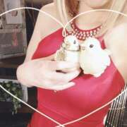 ヒメ日記 2025/04/02 17:56 投稿 小鳥遊 凛（たかなし りん） 湯房すずめ