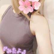 ヒメ日記 2025/04/08 12:35 投稿 小鳥遊 凛（たかなし りん） 湯房すずめ