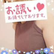 ヒメ日記 2025/04/11 09:06 投稿 小鳥遊 凛（たかなし りん） 湯房すずめ