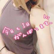 ヒメ日記 2025/04/14 09:04 投稿 小鳥遊 凛（たかなし りん） 湯房すずめ