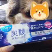 ヒメ日記 2025/04/14 18:26 投稿 小鳥遊 凛（たかなし りん） 湯房すずめ