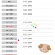 ヒメ日記 2025/04/14 22:39 投稿 小鳥遊 凛（たかなし りん） 湯房すずめ