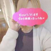 ヒメ日記 2025/04/15 09:05 投稿 小鳥遊 凛（たかなし りん） 湯房すずめ