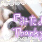 ヒメ日記 2025/04/16 21:22 投稿 小鳥遊 凛（たかなし りん） 湯房すずめ