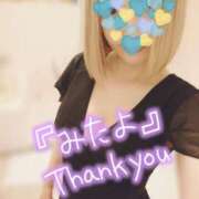 ヒメ日記 2025/04/20 10:02 投稿 小鳥遊 凛（たかなし りん） 湯房すずめ