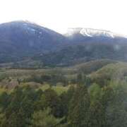 ヒメ日記 2025/04/30 09:16 投稿 小鳥遊 凛（たかなし りん） 湯房すずめ