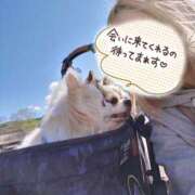 ヒメ日記 2025/05/18 21:40 投稿 小鳥遊 凛（たかなし りん） 湯房すずめ