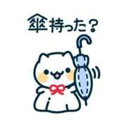 ヒメ日記 2025/06/03 14:03 投稿 小鳥遊 凛（たかなし りん） 湯房すずめ