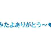 ヒメ日記 2025/06/07 15:00 投稿 小鳥遊 凛（たかなし りん） 湯房すずめ