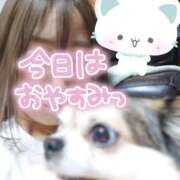 ヒメ日記 2025/06/12 10:22 投稿 小鳥遊 凛（たかなし りん） 湯房すずめ