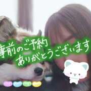 ヒメ日記 2025/06/19 10:06 投稿 小鳥遊 凛（たかなし りん） 湯房すずめ