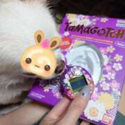 ヒメ日記 2025/06/22 21:10 投稿 小鳥遊 凛（たかなし りん） 湯房すずめ