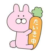 ヒメ日記 2025/06/23 13:29 投稿 小鳥遊 凛（たかなし りん） 湯房すずめ