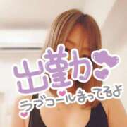 ヒメ日記 2025/06/24 10:16 投稿 小鳥遊 凛（たかなし りん） 湯房すずめ