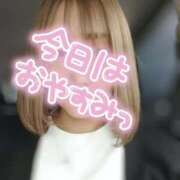 ヒメ日記 2025/06/25 11:03 投稿 小鳥遊 凛（たかなし りん） 湯房すずめ