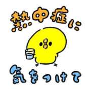 ヒメ日記 2025/06/30 11:21 投稿 小鳥遊 凛（たかなし りん） 湯房すずめ