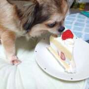 ヒメ日記 2025/06/30 22:12 投稿 小鳥遊 凛（たかなし りん） 湯房すずめ