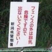 ヒメ日記 2025/07/07 01:52 投稿 小鳥遊 凛（たかなし りん） 湯房すずめ