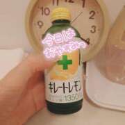 ヒメ日記 2025/07/19 08:15 投稿 小鳥遊 凛（たかなし りん） 湯房すずめ