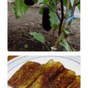 ヒメ日記 2025/08/07 21:52 投稿 小鳥遊 凛（たかなし りん） 湯房すずめ