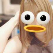 ヒメ日記 2025/08/09 12:15 投稿 小鳥遊 凛（たかなし りん） 湯房すずめ