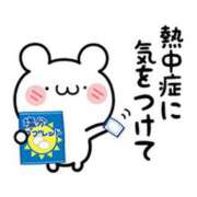 ヒメ日記 2025/08/16 12:08 投稿 小鳥遊 凛（たかなし りん） 湯房すずめ