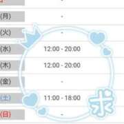 ヒメ日記 2025/08/17 20:30 投稿 小鳥遊 凛（たかなし りん） 湯房すずめ