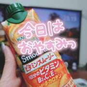 ヒメ日記 2025/08/19 09:10 投稿 小鳥遊 凛（たかなし りん） 湯房すずめ