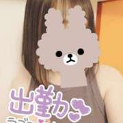 ヒメ日記 2025/08/20 12:33 投稿 小鳥遊 凛（たかなし りん） 湯房すずめ