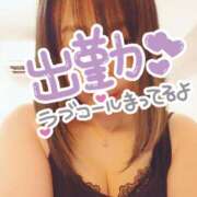 ヒメ日記 2025/09/05 20:45 投稿 小鳥遊 凛（たかなし りん） 湯房すずめ