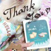 ヒメ日記 2025/09/14 23:07 投稿 小鳥遊 凛（たかなし りん） 湯房すずめ