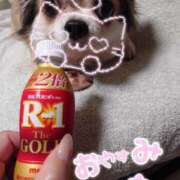 ヒメ日記 2025/09/19 23:44 投稿 小鳥遊 凛（たかなし りん） 湯房すずめ