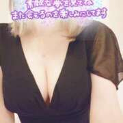 ヒメ日記 2025/09/29 23:29 投稿 小鳥遊 凛（たかなし りん） 湯房すずめ