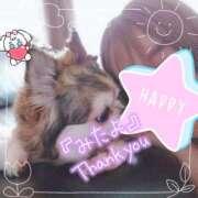 ヒメ日記 2025/09/30 22:51 投稿 小鳥遊 凛（たかなし りん） 湯房すずめ