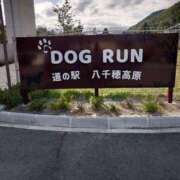 ヒメ日記 2025/10/10 23:50 投稿 小鳥遊 凛（たかなし りん） 湯房すずめ