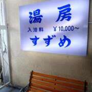 ヒメ日記 2025/10/17 13:03 投稿 小鳥遊 凛（たかなし りん） 湯房すずめ