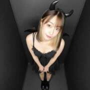 ヒメ日記 2025/10/31 09:45 投稿 小鳥遊 凛（たかなし りん） 湯房すずめ