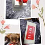 ヒメ日記 2025/11/02 12:19 投稿 小鳥遊 凛（たかなし りん） 湯房すずめ