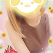 ヒメ日記 2025/11/05 10:15 投稿 小鳥遊 凛（たかなし りん） 湯房すずめ