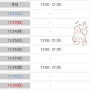 ヒメ日記 2025/11/21 08:15 投稿 小鳥遊 凛（たかなし りん） 湯房すずめ