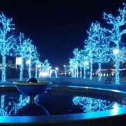 ヒメ日記 2025/11/24 17:56 投稿 小鳥遊 凛（たかなし りん） 湯房すずめ